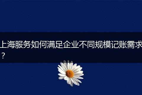 上海服務如何滿足企業(yè)不同規(guī)模記賬需求？