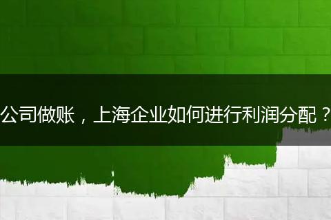 公司做賬，上海企業(yè)如何進行利潤分配？