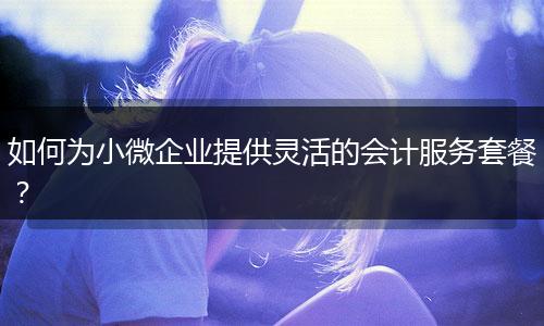 如何為小微企業(yè)提供靈活的會計服務(wù)套餐？