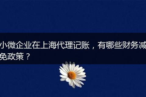 小微企業(yè)在上海代理記賬，有哪些財(cái)務(wù)減免政策？