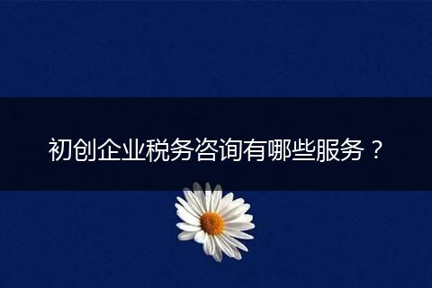 初創(chuàng)企業(yè)稅務咨詢有哪些服務？