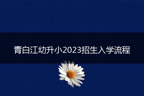 青白江幼升小2023招生入學流程
