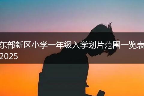 東部新區(qū)小學(xué)一年級(jí)入學(xué)劃片范圍一覽表2025