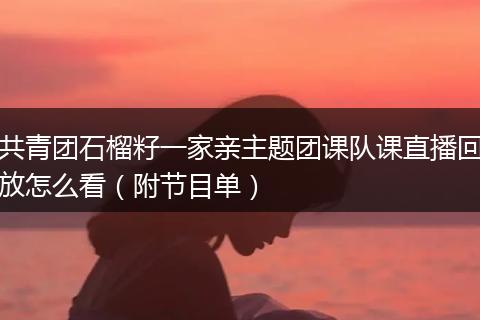 共青團(tuán)石榴籽一家親主題團(tuán)課隊(duì)課直播回放怎么看（附節(jié)目單）