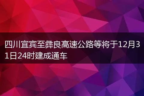 四川宜賓至彝良高速公路等將于12月31日24時(shí)建成通車(chē)