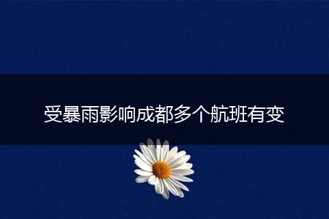 受暴雨影響成都多個航班有變