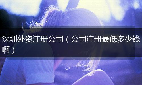 深圳外資注冊(cè)公司（公司注冊(cè)最低多少錢?。? style=