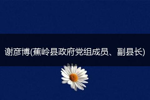 謝彥博(蕉嶺縣政府黨組成員、副縣長(zhǎng))