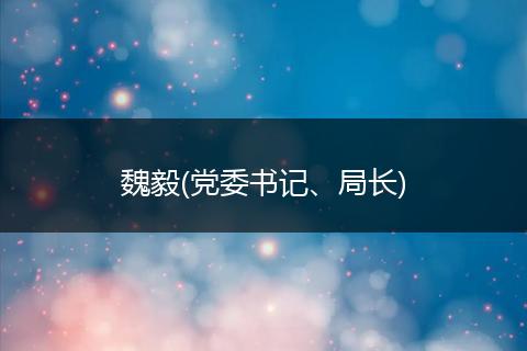 魏毅(黨委書記、局長(zhǎng))