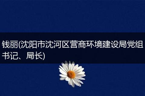 錢麗(沈陽市沈河區(qū)營商環(huán)境建設局黨組書記、局長)