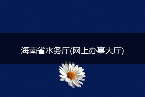 海南省水務(wù)廳(網(wǎng)上辦事大廳)