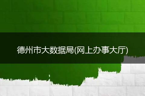 德州市大數(shù)據(jù)局(網(wǎng)上辦事大廳)