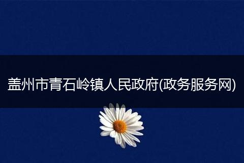 蓋州市青石嶺鎮(zhèn)人民政府(政務(wù)服務(wù)網(wǎng))