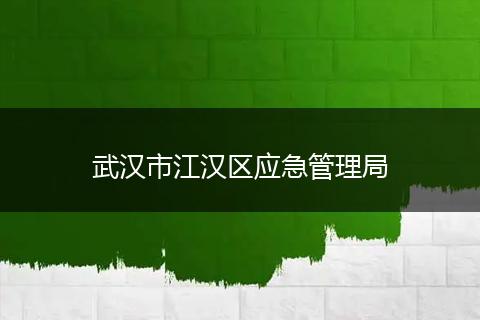 武漢市江漢區(qū)應(yīng)急管理局
