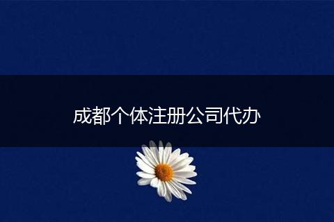 成都個(gè)體注冊(cè)公司代辦