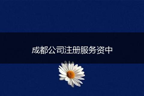 成都公司注冊服務(wù)資中