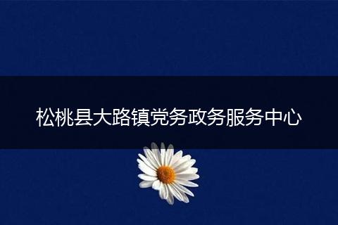 松桃縣大路鎮(zhèn)黨務政務服務中心