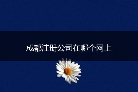 成都注冊公司在哪個網(wǎng)上