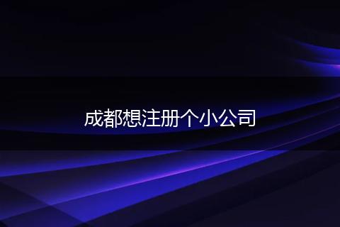 成都想注冊個小公司