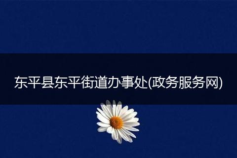 東平縣東平街道辦事處(政務(wù)服務(wù)網(wǎng))