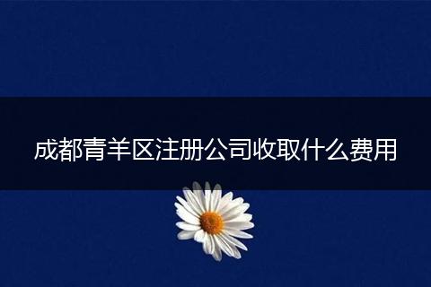成都青羊區(qū)注冊公司收取什么費(fèi)用