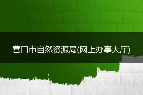 營口市自然資源局(網(wǎng)上辦事大廳)