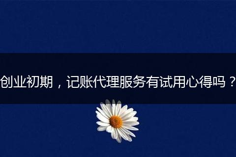 創(chuàng)業(yè)初期，記賬代理服務(wù)有試用心得嗎？