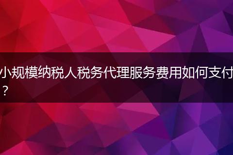 小規(guī)模納稅人稅務(wù)代理服務(wù)費用如何支付？