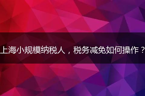 上海小規(guī)模納稅人，稅務(wù)減免如何操作？