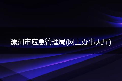 漯河市應急管理局(網(wǎng)上辦事大廳)