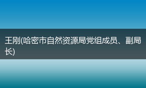 王剛(哈密市自然資源局黨組成員、副局長)