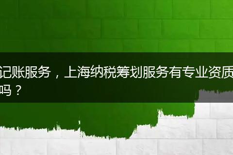 記賬服務(wù)，上海納稅籌劃服務(wù)有專業(yè)資質(zhì)嗎？
