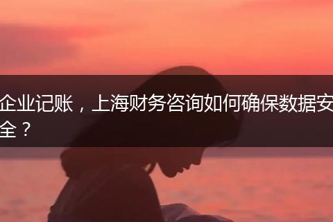 企業(yè)記賬，上海財(cái)務(wù)咨詢?nèi)绾未_保數(shù)據(jù)安全？