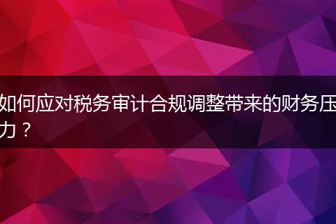 如何應(yīng)對稅務(wù)審計合規(guī)調(diào)整帶來的財務(wù)壓力？