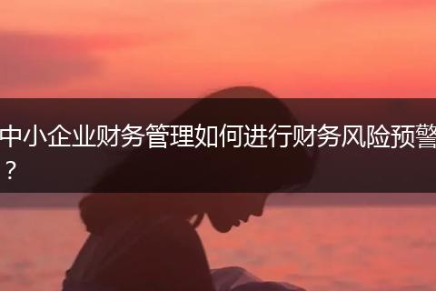 中小企業(yè)財務(wù)管理如何進行財務(wù)風(fēng)險預(yù)警?