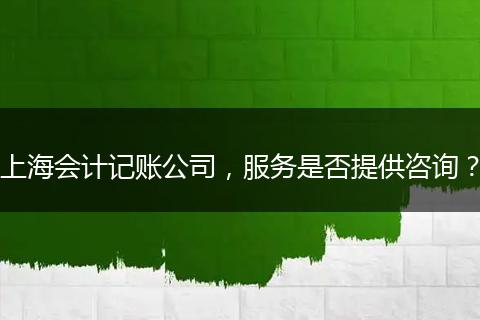 上海會(huì)計(jì)記賬公司，服務(wù)是否提供咨詢？