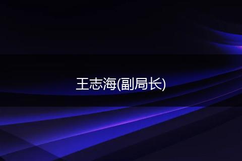 王志海(副局長(zhǎng))