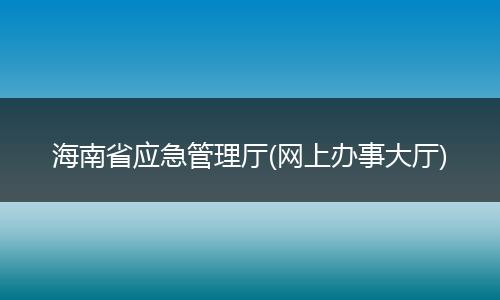 海南省應急管理廳(網(wǎng)上辦事大廳)