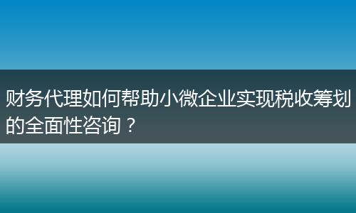 財務(wù)代理如何幫助小微企業(yè)實現(xiàn)稅收籌劃的全面性咨詢？
