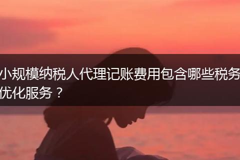 小規(guī)模納稅人代理記賬費用包含哪些稅務優(yōu)化服務？