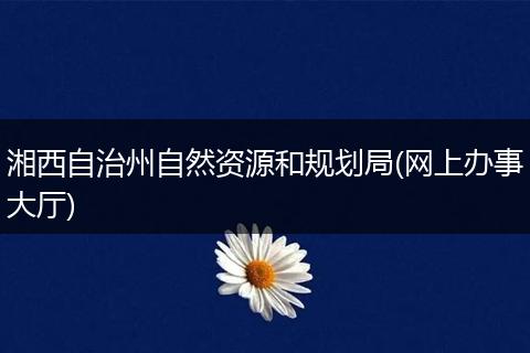 湘西自治州自然資源和規(guī)劃局(網(wǎng)上辦事大廳)