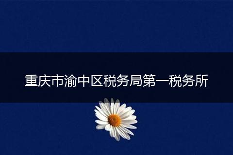 重慶市渝中區(qū)稅務(wù)局第一稅務(wù)所