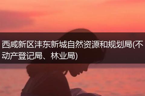 西咸新區(qū)灃東新城自然資源和規(guī)劃局(不動產(chǎn)登記局、林業(yè)局)