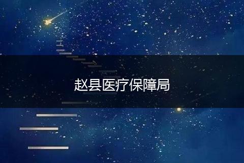 趙縣醫(yī)療保障局