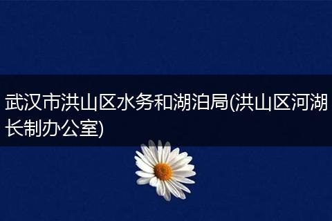 武漢市洪山區(qū)水務(wù)和湖泊局(洪山區(qū)河湖長制辦公室)