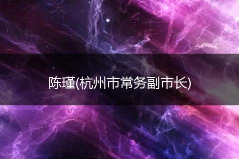 陳瑾(杭州市常務副市長)