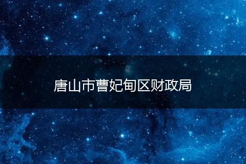 唐山市曹妃甸區(qū)財政局