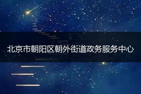 北京市朝陽區(qū)朝外街道政務服務中心