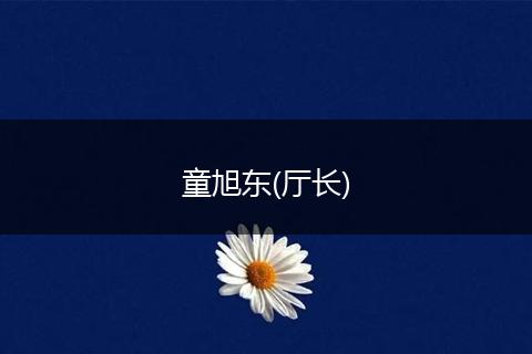 童旭東(廳長(zhǎng))