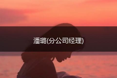 潘璐(分公司經(jīng)理)